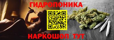 эйфоретик Кандалакша