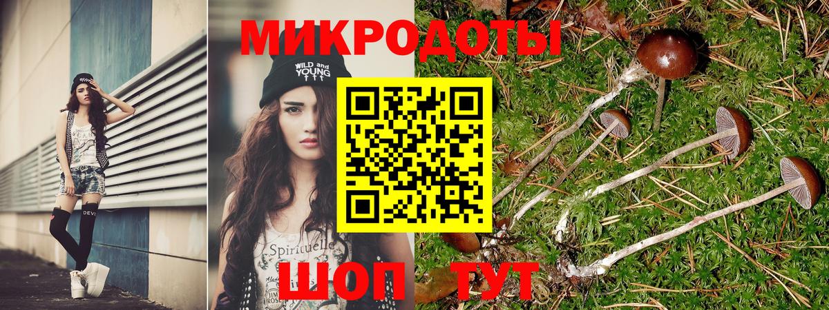 Псилоцибиновые грибы Psilocybe Бирск