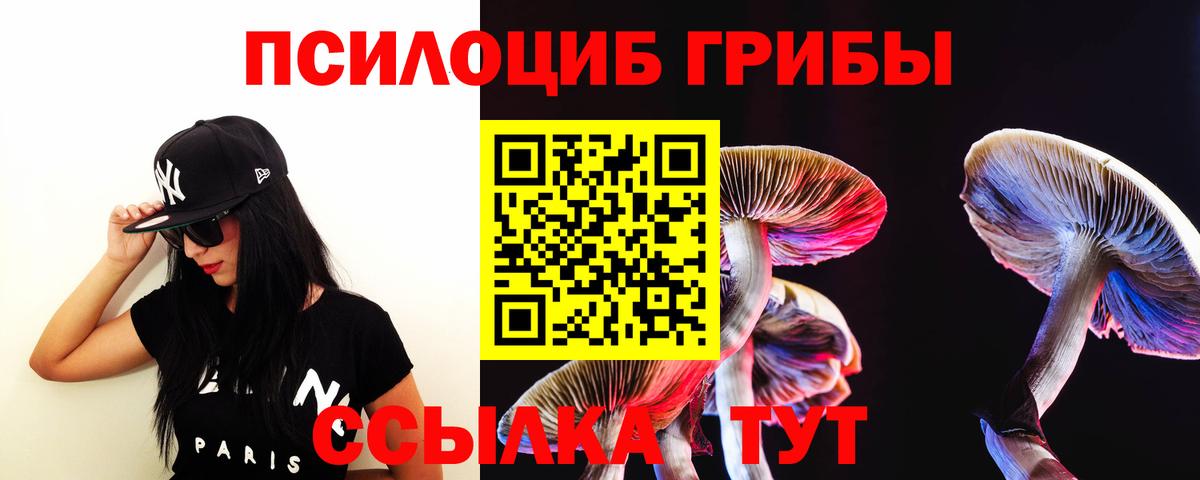 Бирск  Галлюциногенные грибы GOLDEN TEACHER  Галлюциногенные грибы мицелий  Вход с VPN 